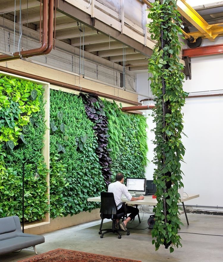 Plantas + Arquitetura= sucesso para os colaboradores! Invista no Plantscaping!