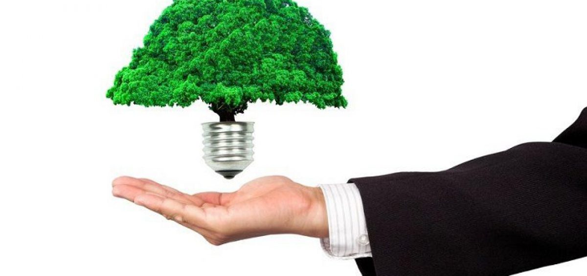 Idéias de sustentabilidade para sua empresa